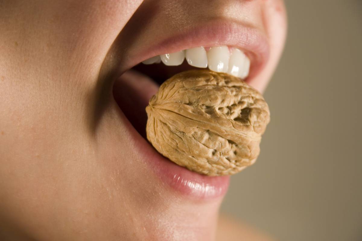 mouth biting a walnut. Can you fix a broken tooth?